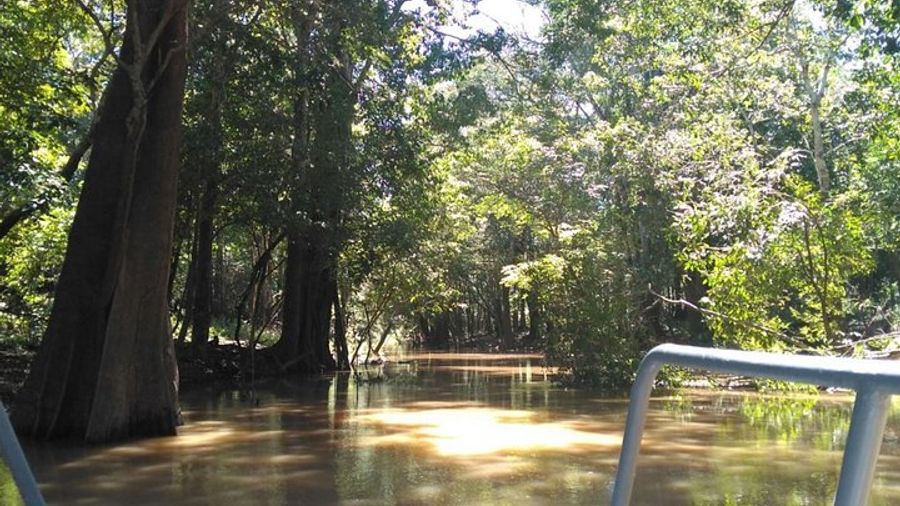 4 Days Amazon Jungle Adventure Tour