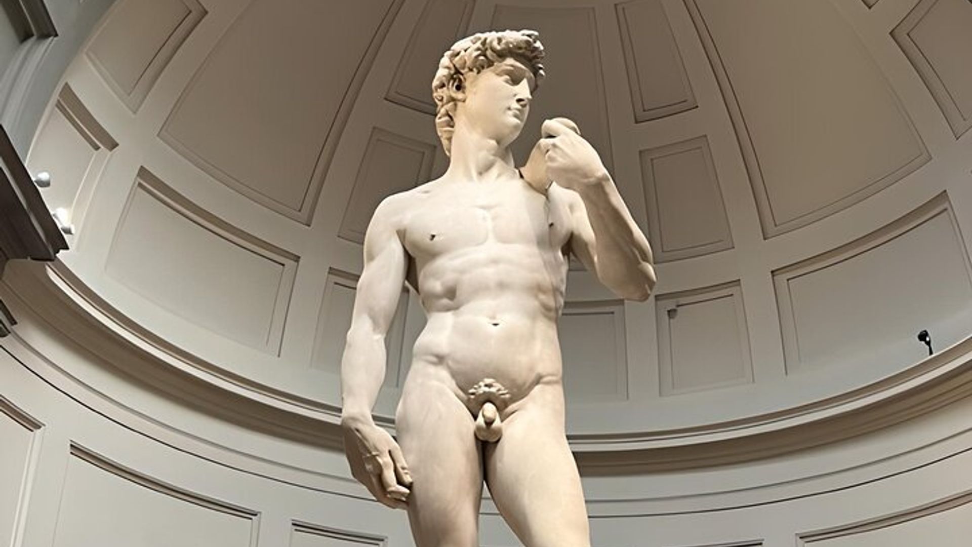 Florence Accademia Gallery Timed Entry Ticket & Guided Tour
