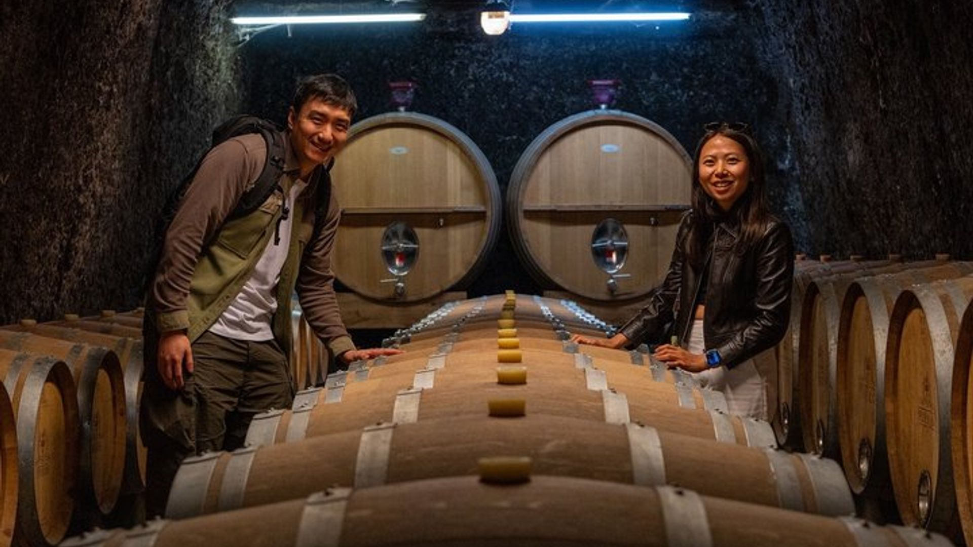 Excursión de un día a los castillos del Valle del Loira y degustación de vinos desde París