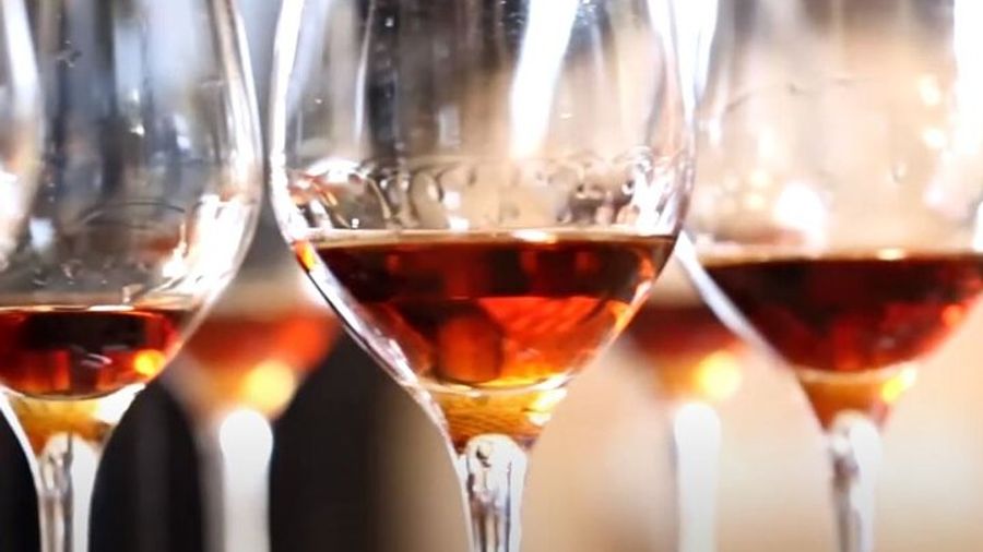 Madeira Full-Day Wine Tasting Tour With Lunch & Cable Car Ride