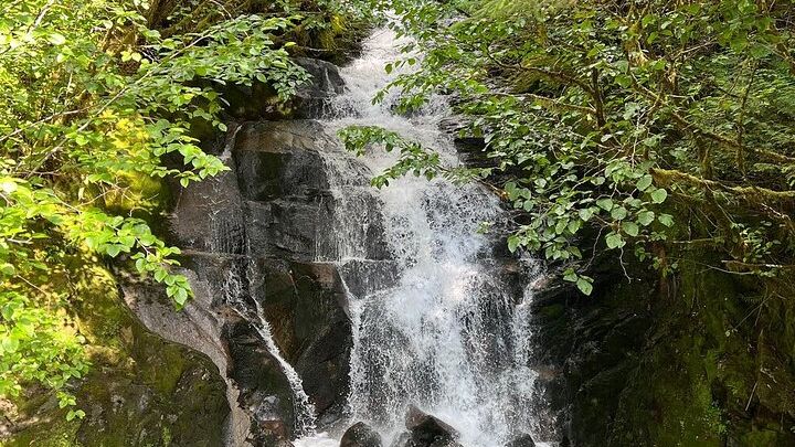 Ketchikan City Totems and Wildlife Private Tour