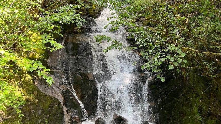 Ketchikan City Totems and Wildlife Private Van Tour