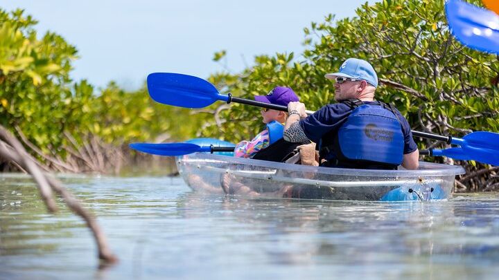 Providenciales Clear Kayak to Iguana Island Small-Group Tour