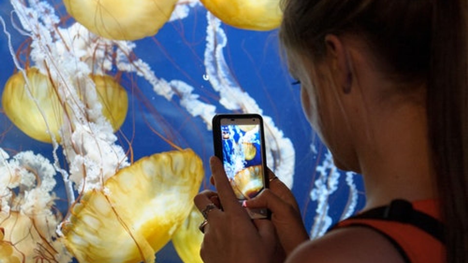 San Francisco CityPASS®: Admission to 4 Top Attractions image 2