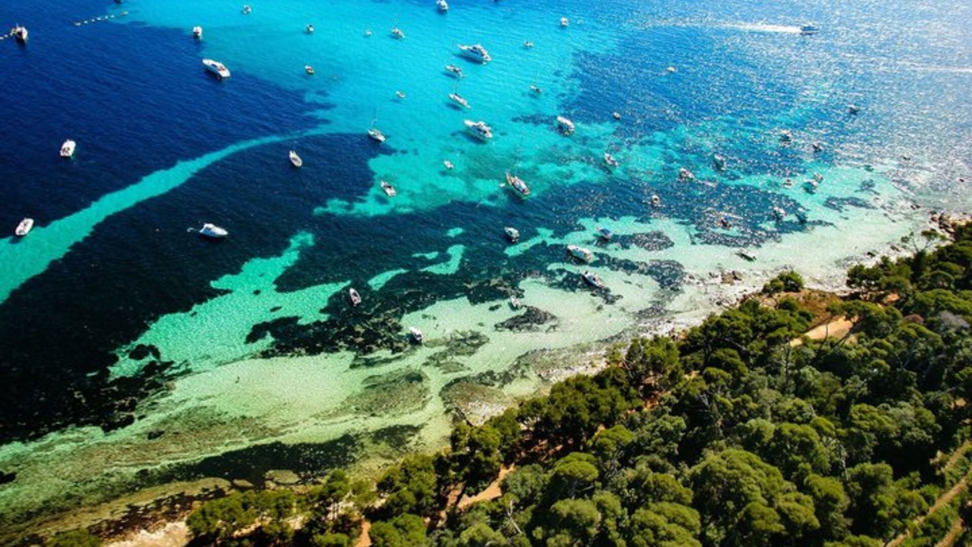 7-stündiger Tagesausflug zu den Esterel- und Lérins-Inseln