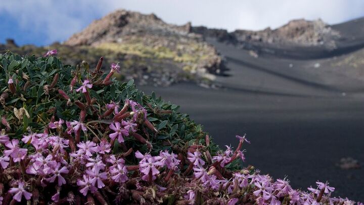 Etna Morning or Sunset - Trek & Lava Tunnel with Gear