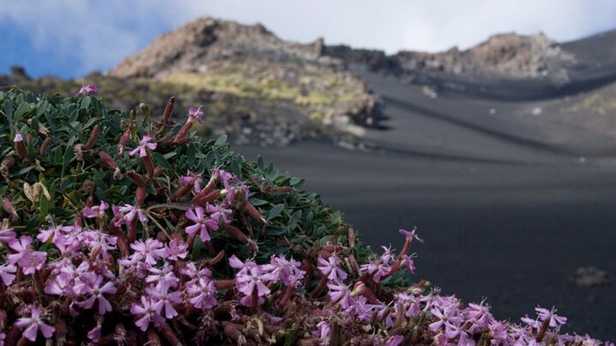Etna Morning or Sunset - Trek & Lava Tunnel with Gear