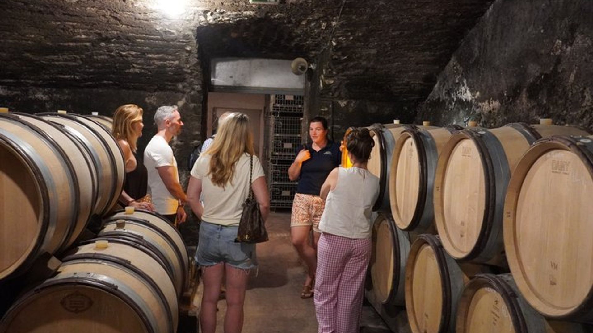 Beaune : Excursión a bodegas para grupos pequeños desde Dijon