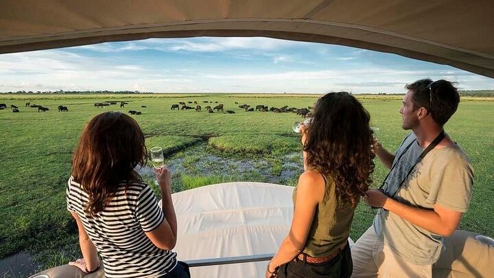 Chobe Day Trip From Victoria Falls Zimbabwe