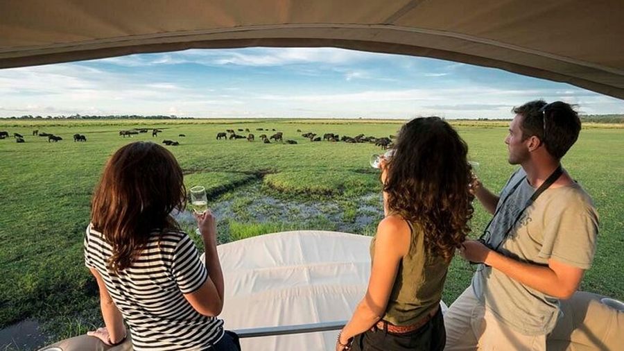Chobe Day Trip From Victoria Falls Zimbabwe