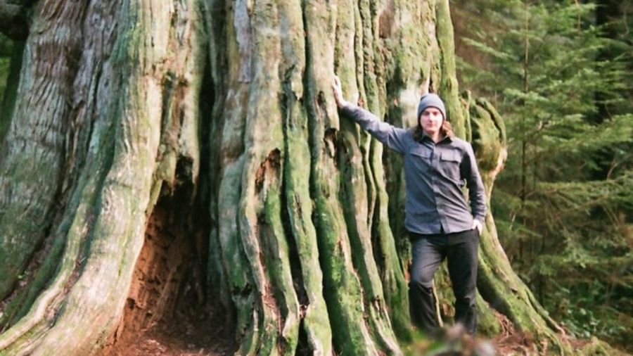 Ancient Trees of Vancouver Walking Tour in Stanley Park
