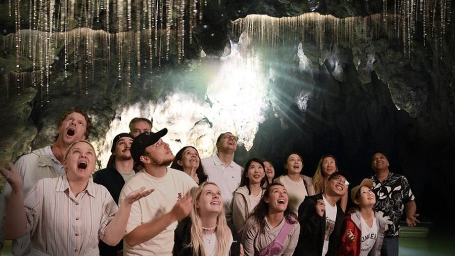 Hobbiton and Waitomo Caves Small-Group Day Tour From Auckland