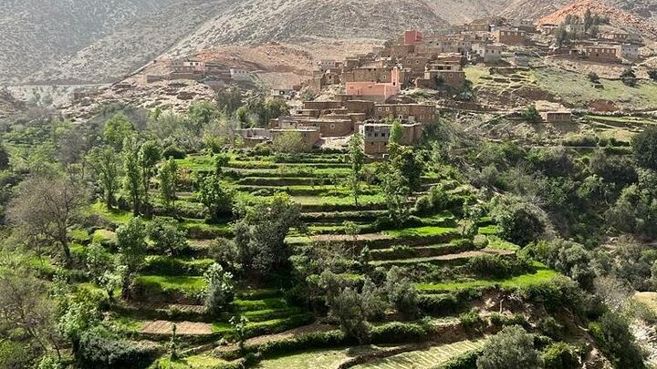 Marrakech Atlas Mountains Private Hike With Berber Home Lunch