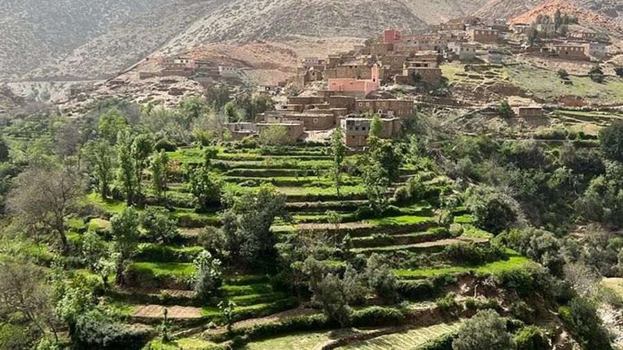 Marrakech Atlas Mountains Private Hike With Berber Home Lunch