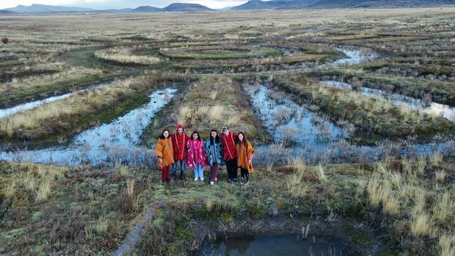 Full Day Guided Tour of the Aymara Route from Puno