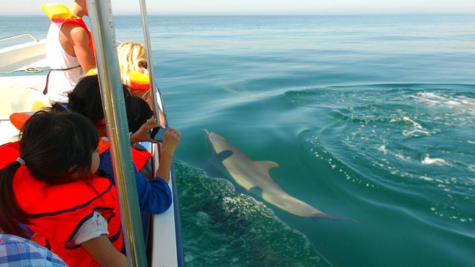 Dolphin Watching from Cabanas de Tavira