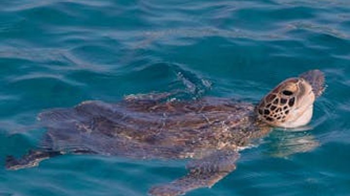 Trip to Cape Greco and Blue Lagoon