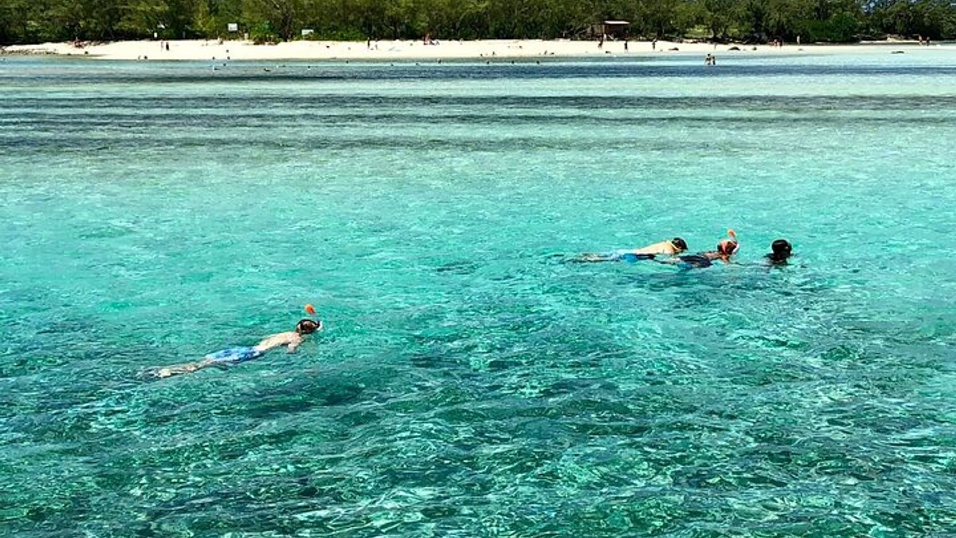CATAMARAN tout compris avec BBQ : Ile aux cerfs & cascade GRSE