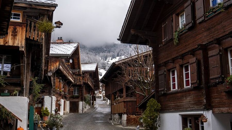 Zurich Small-Group Full-Day Swiss Alps Tour