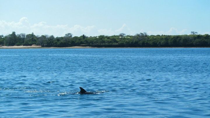 4-Day Diani Beach All Inclusive Getaway