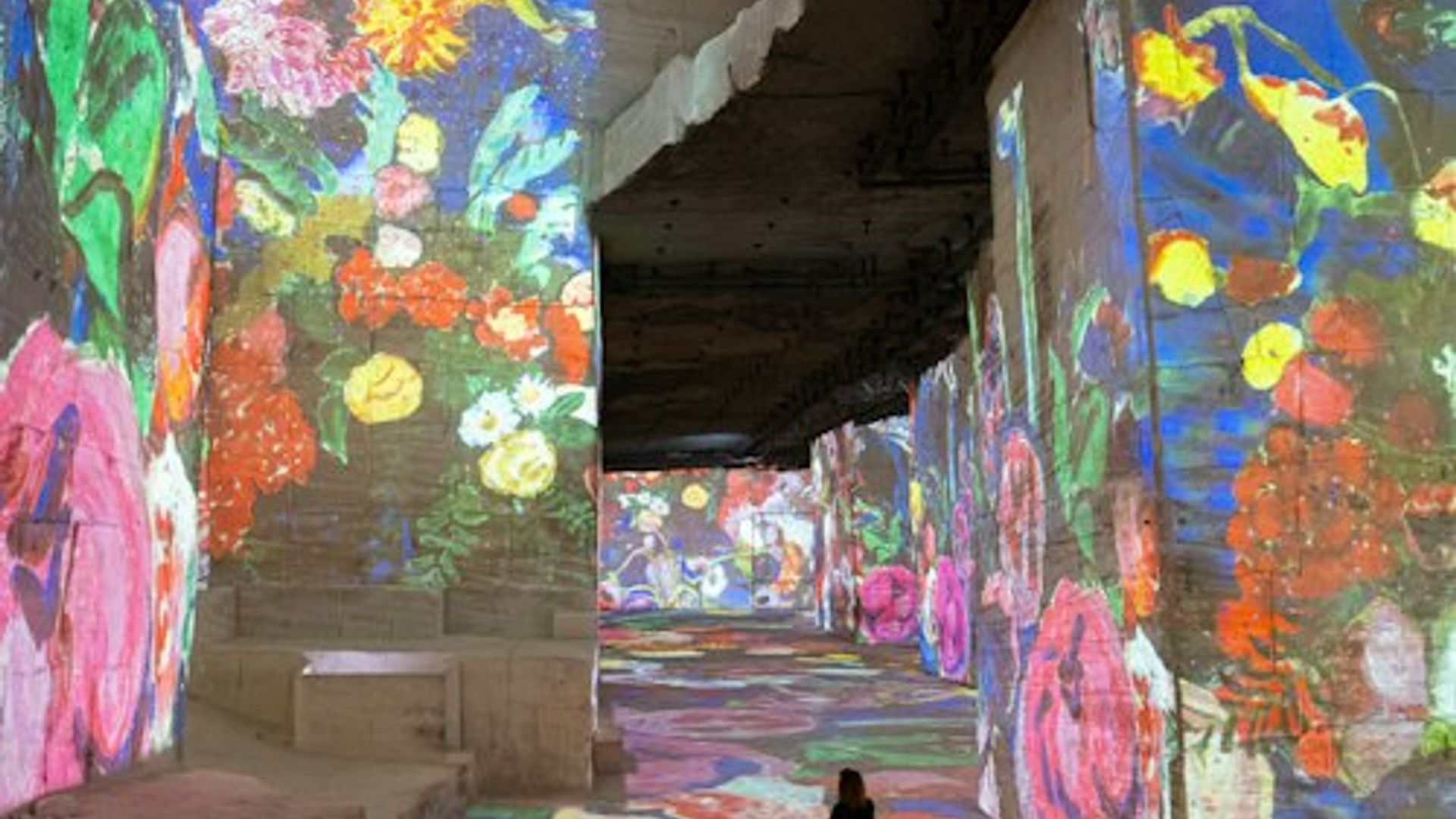 Carrières Des Lumières: Matisse & Frida Kahlo Exhibition