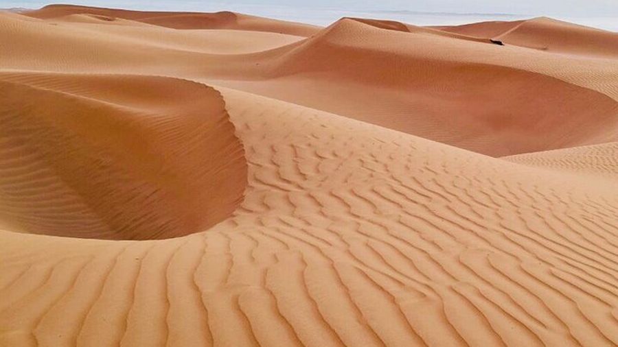 Private 2 Days 1 Night Wahiba Sands Desert and Wadi Bani Khalid Tour