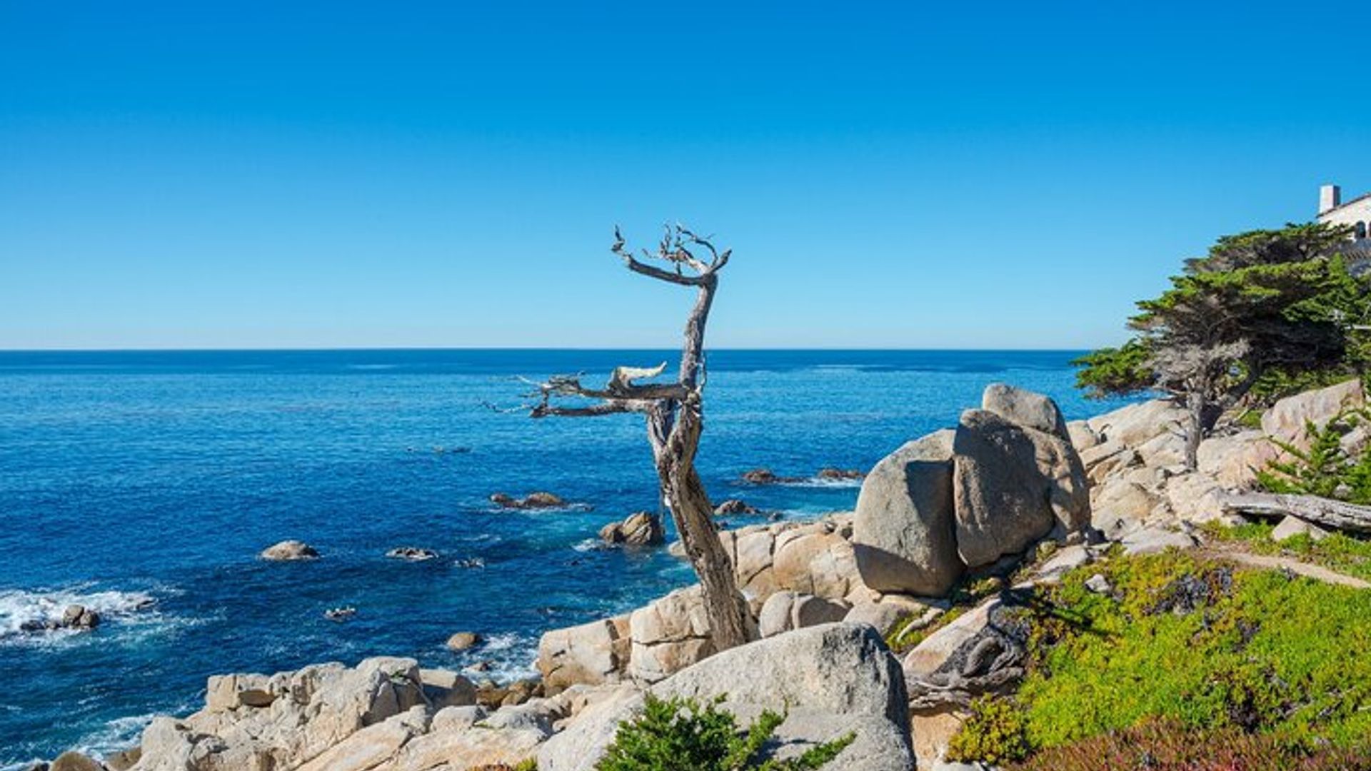 Big Sur Self-Driving Audio Tour in California along the PCH