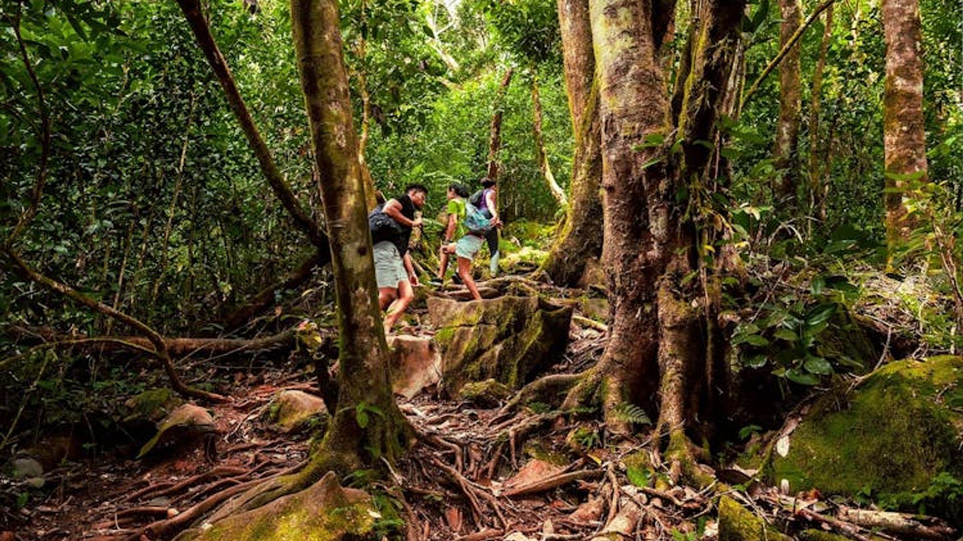 Private nature trail Morne Blanc from Mahé