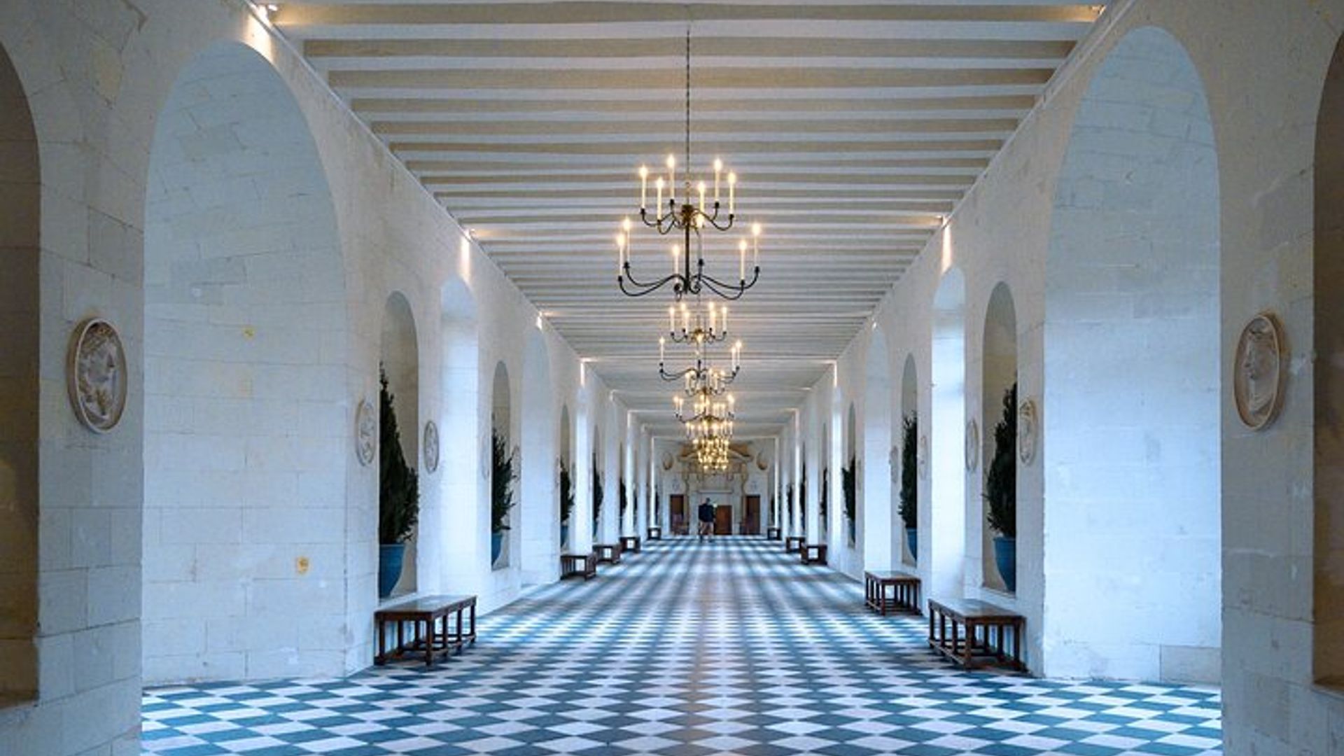 Chenonceau & Chambord Castillos más emblemáticos - Con recogida en el hotel