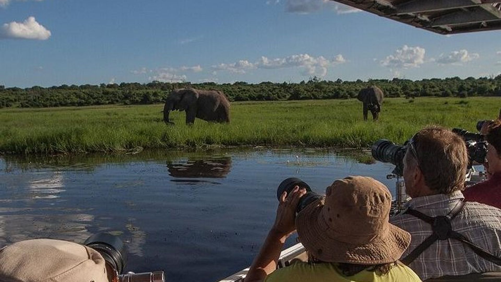 Chobe Full Day Experience
