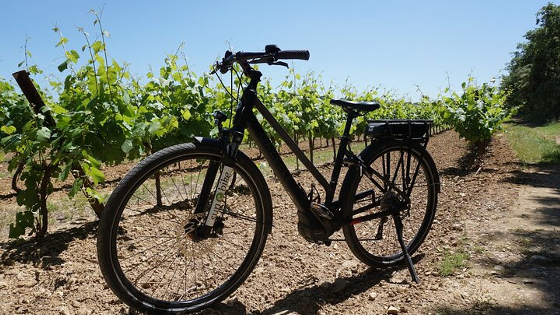 Saint-Rémy-de-Provence en bicicleta eléctrica con Carrieres de Lumières