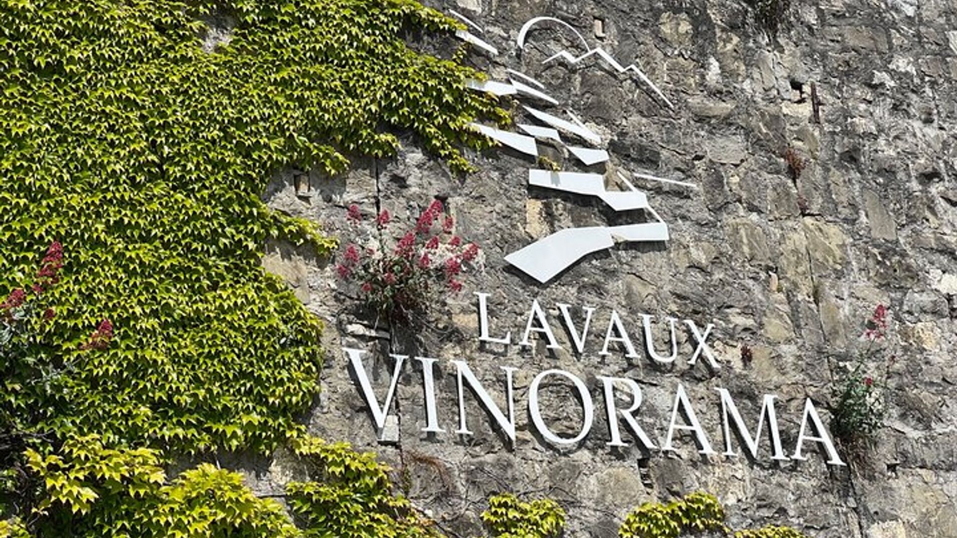 Visite des Vignobles de Lavaux et Musée du Vin au Château d'Aigle