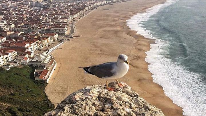 Fatima, Batalha, Nazare, Obidos Tour From Lisbon by Minivan
