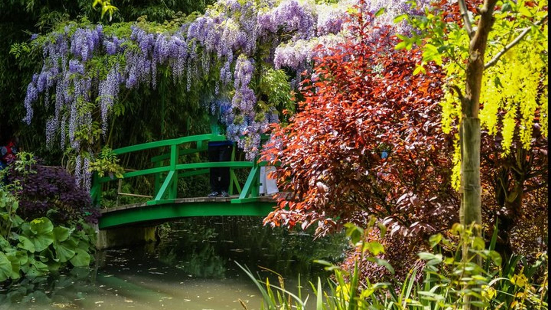 Bayeux à Paris : Transfert privé avec arrêt Giverny en option