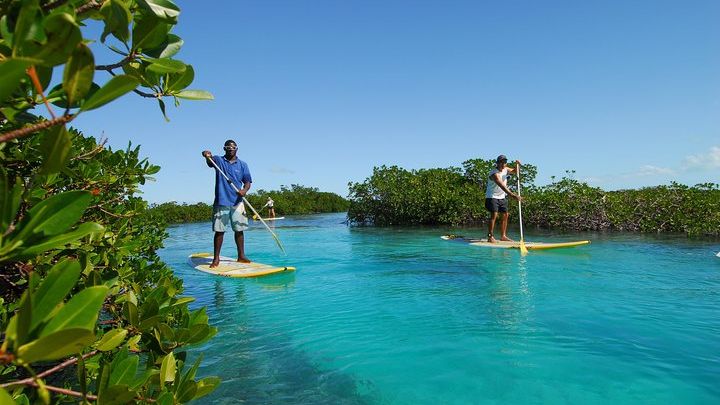 Stand Up Paddleboard Eco tour