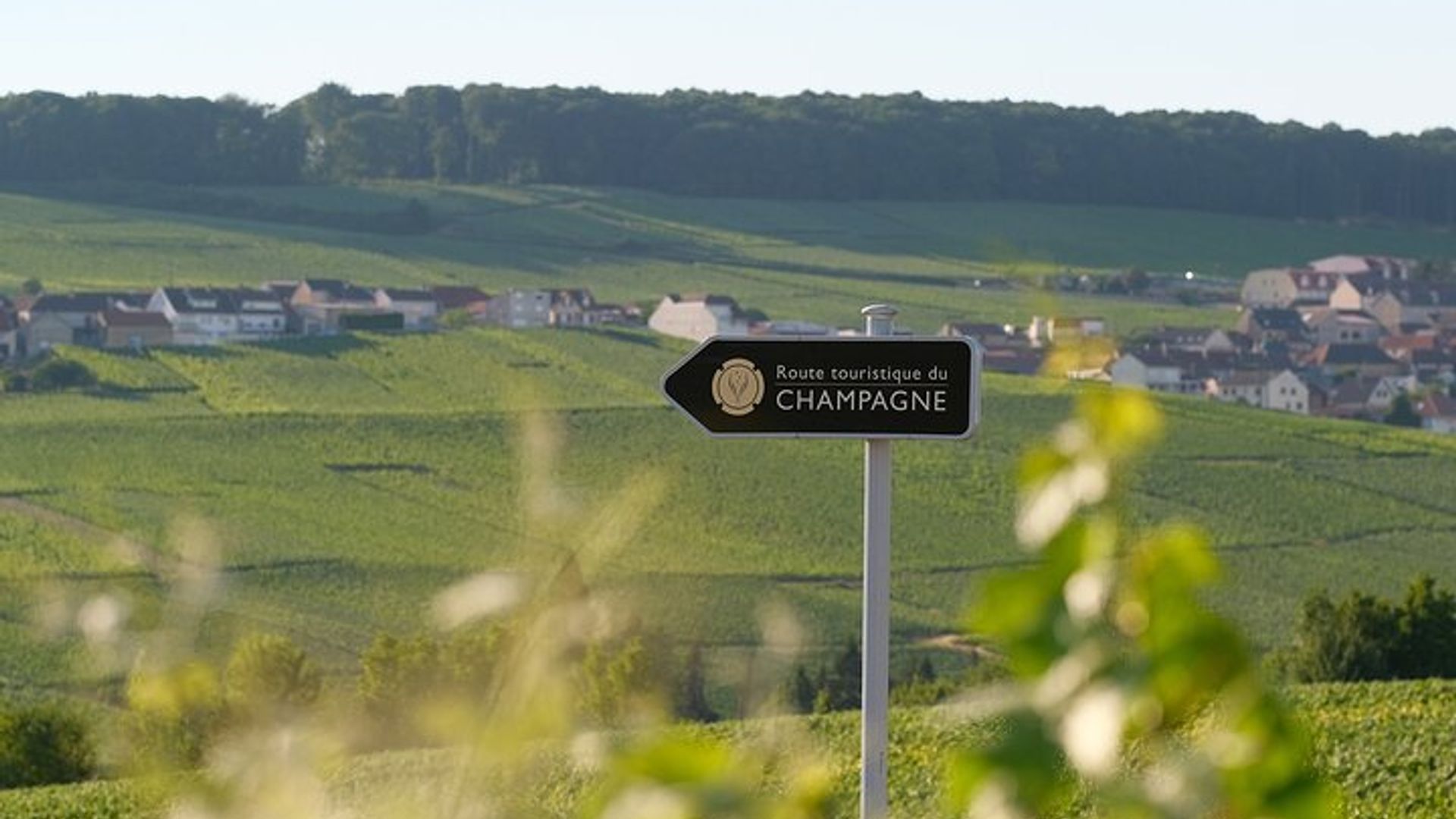 Epernay Champagne Tour with Tasting