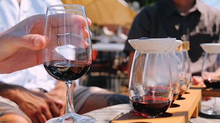Waiheke Island Small-Group Wine Tasting Tour