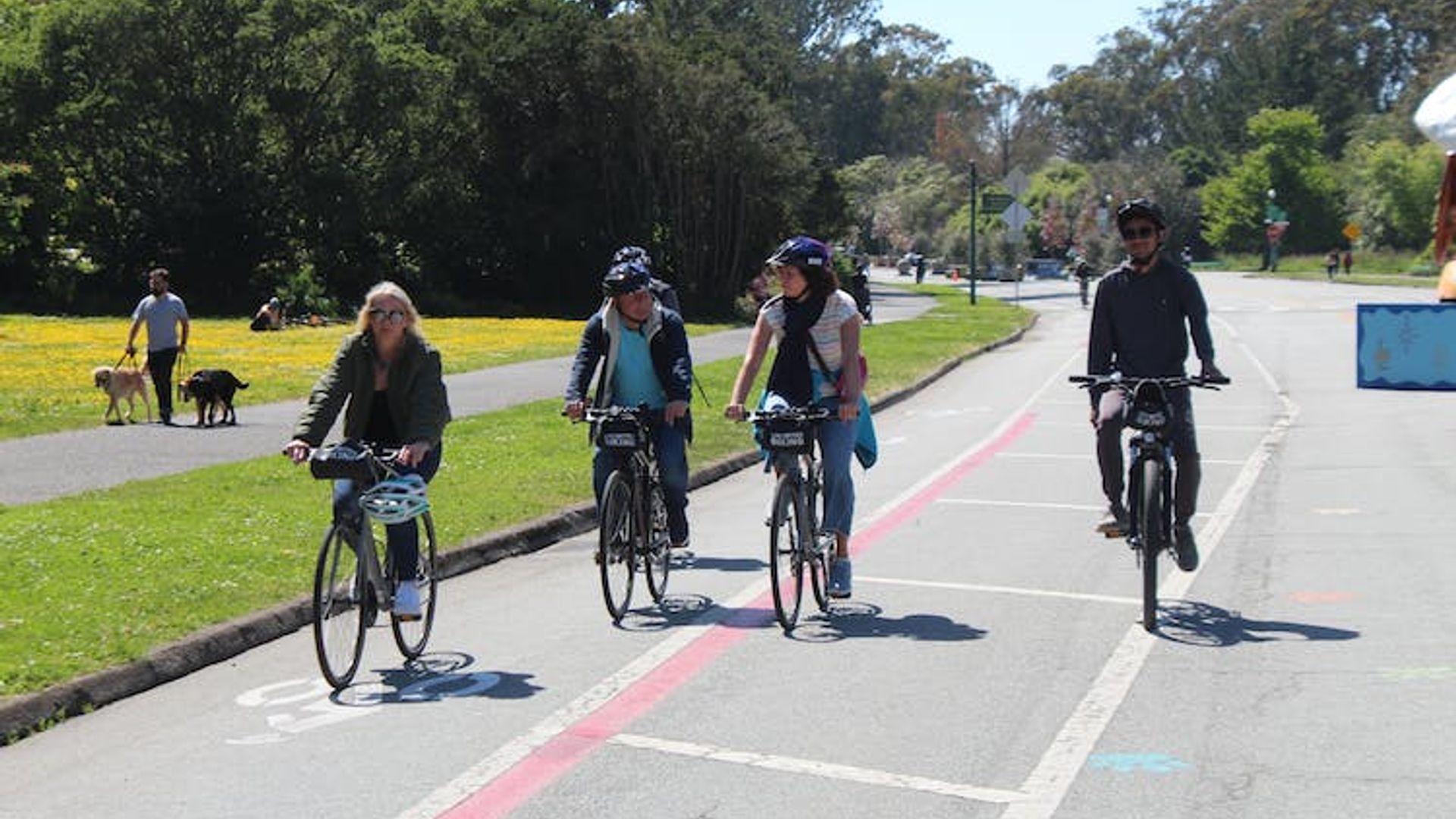 Golden gate park bike rental image 3