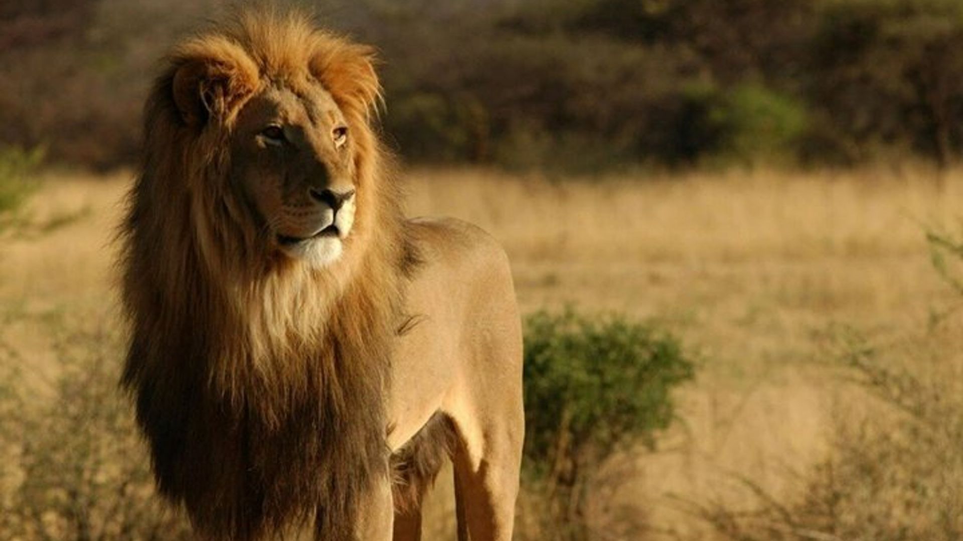 Cape Town to Durban - 7 Day Adventure Hiking Safari and Beaches
