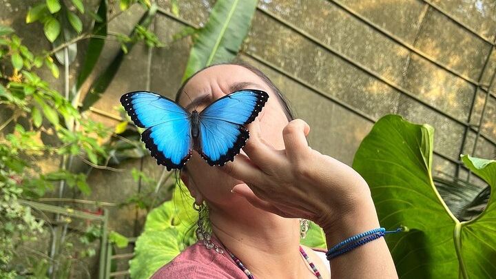 Cali Butterly Park Private Tour