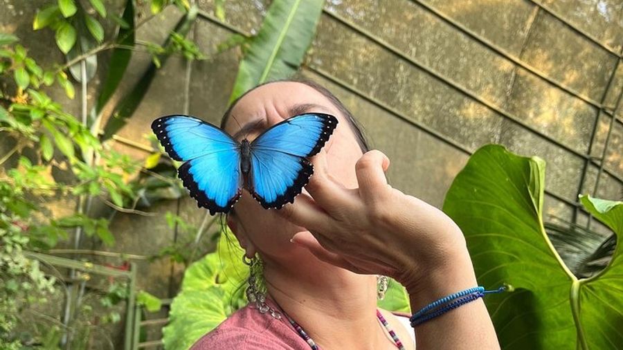 Cali Butterly Park Private Tour