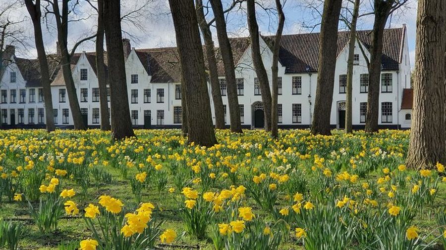 City tour through historic Bruges