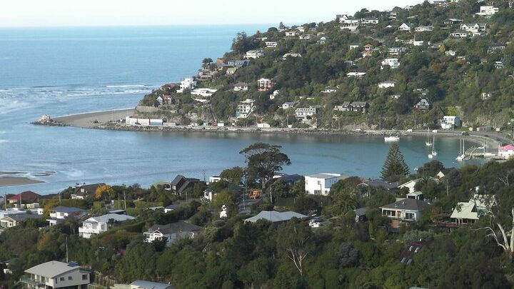 Christchurch Half-Day Tour, Optional Antarctic Centre Entry