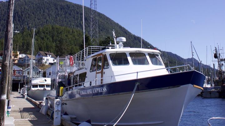 Ketchikan Wildlife and Whale-Watching Cruise