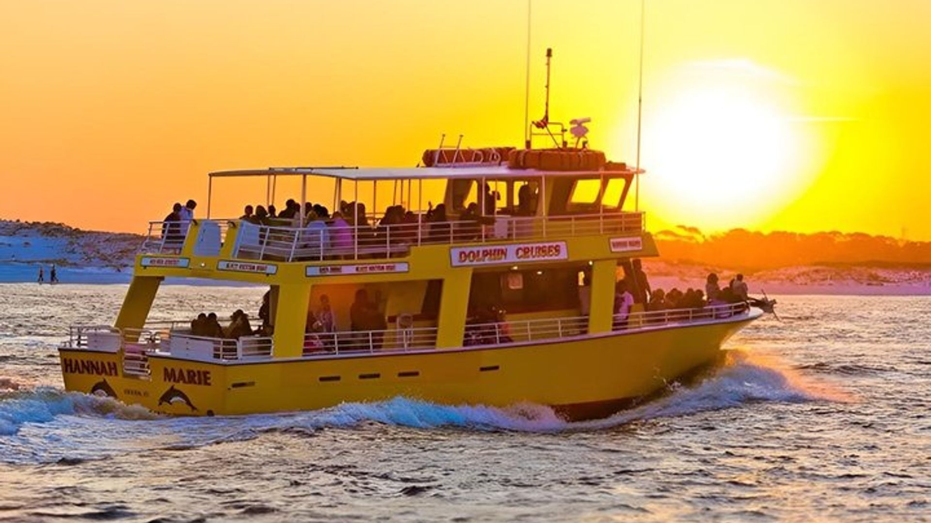 Dolphin & Sunset Cruises