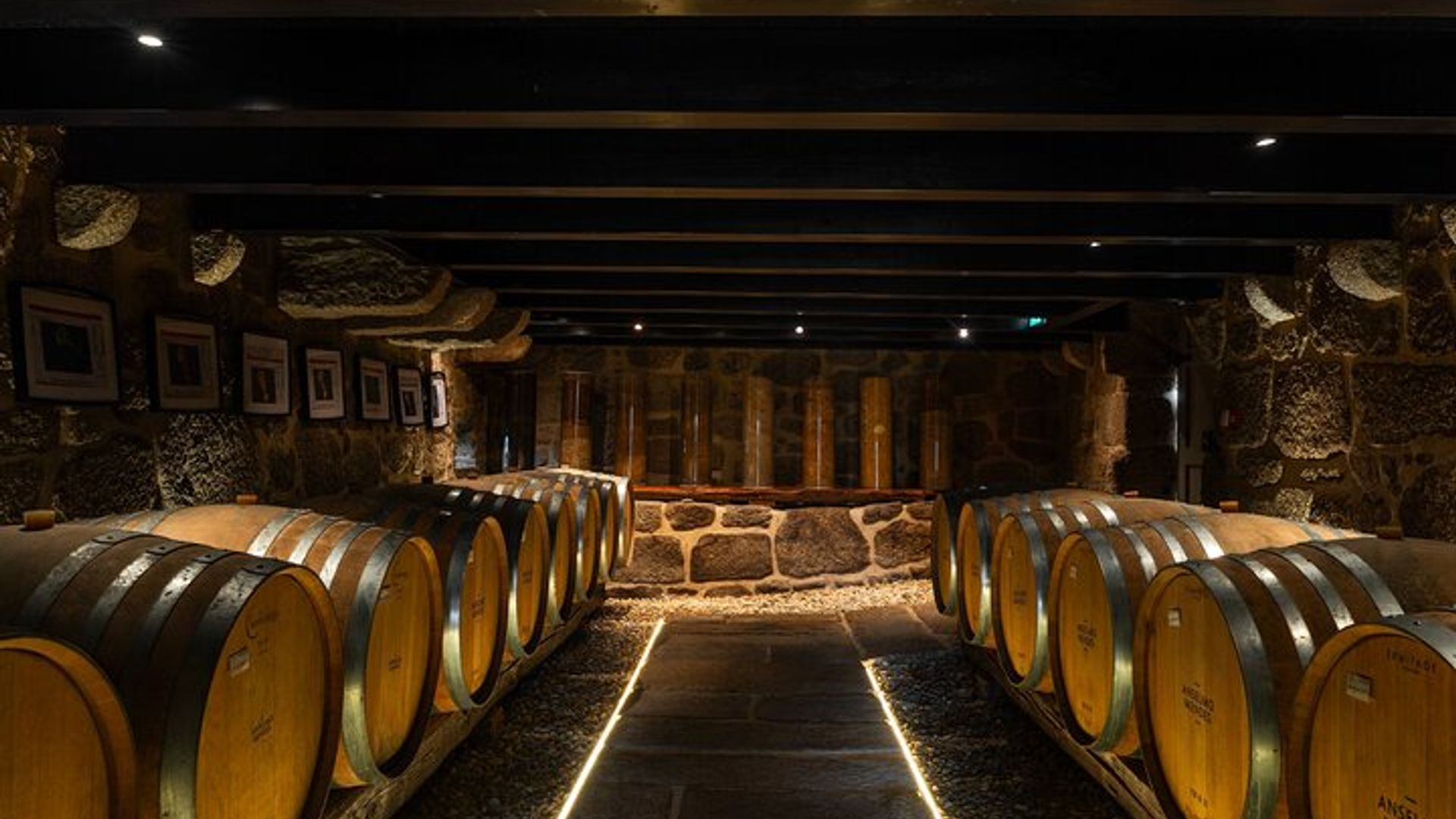 Dégustation de vin à la Quinta da Torre Anselmo Mendes