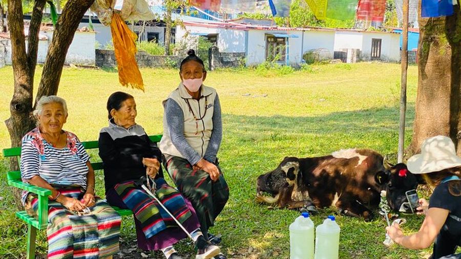 Half-Day Small-Group Tibetan Cultural Tour, Pokhara