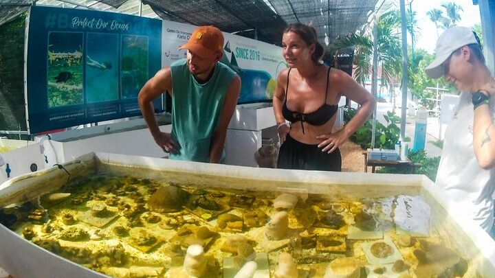 Punta Cana Adults-Only Coral Reef Snorkeling Experience