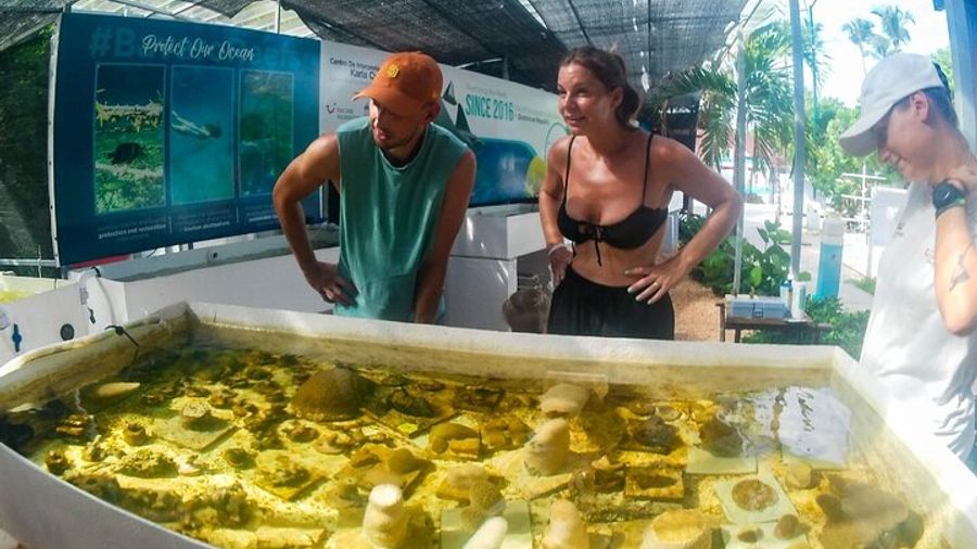 Punta Cana Adults-Only Coral Reef Snorkeling Experience
