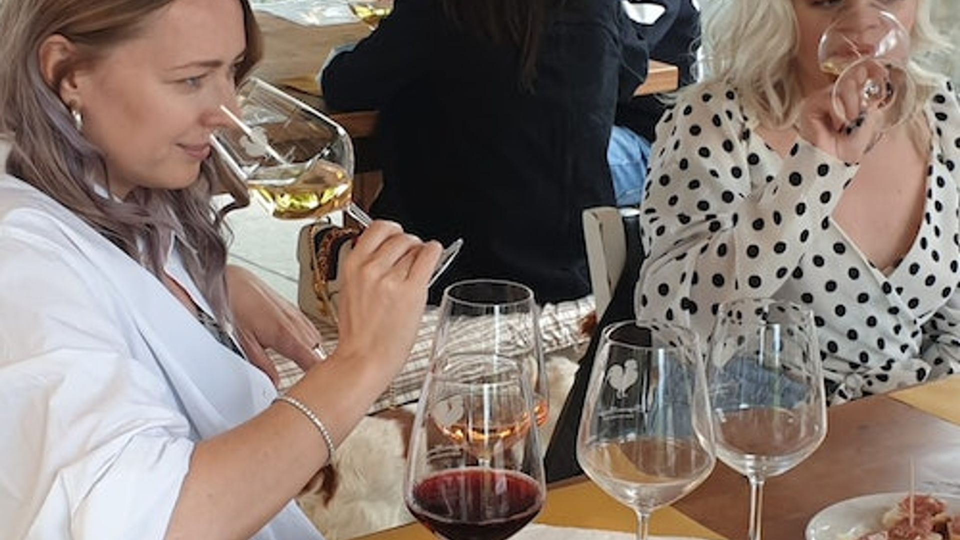 Florence: Wine Tastings + Minivan Tour